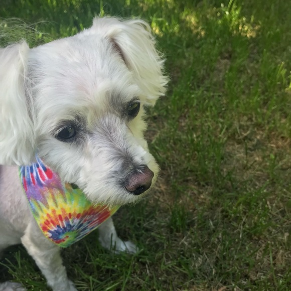 Meet Jeynelle - Picture 2 of 2